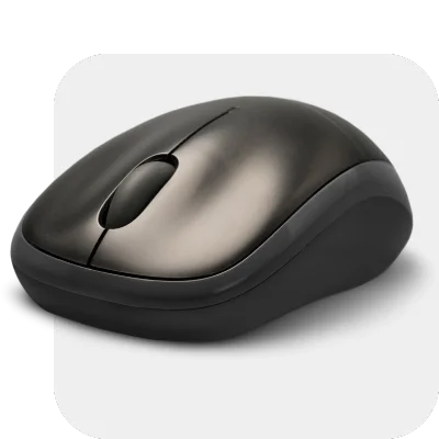 Mouse